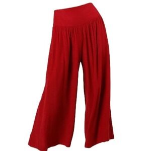 Band of the Free Reis Red Wide Leg Palazzo Pants Smocked Back XS Boho Cropped